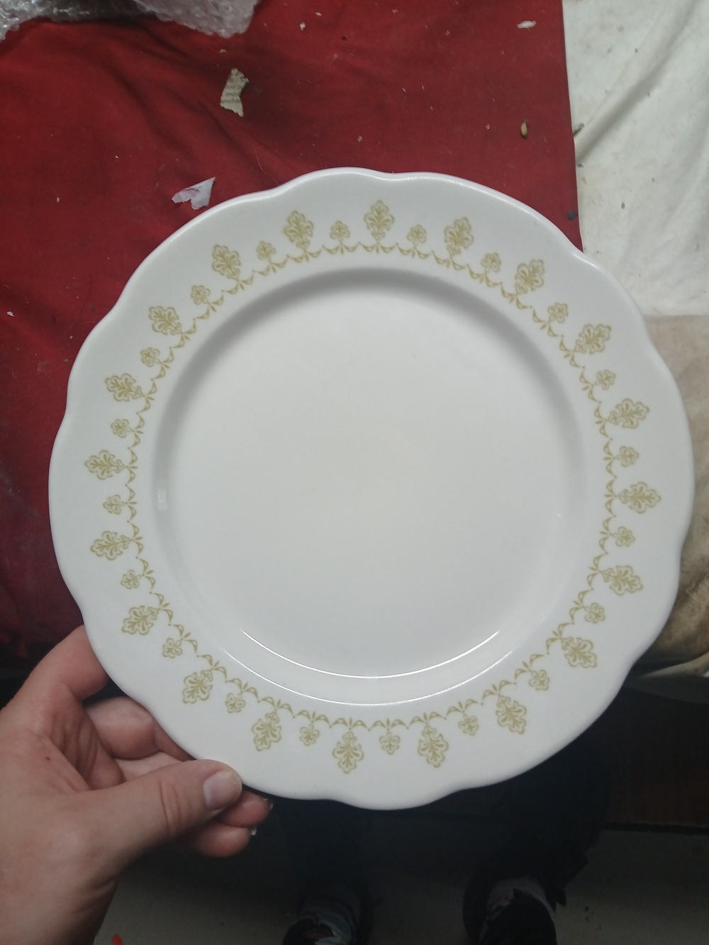 vintage Buffalo China restaurant ware plate white body Scalloped Edge 9.75"
